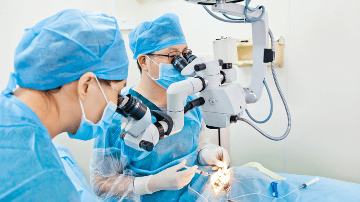 Cataracts nclex review nursing students