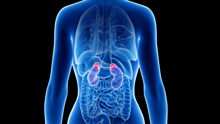 Cushings Syndrome nclex prep