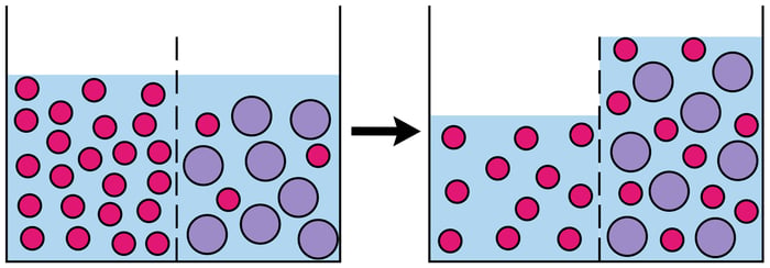 osmosis, nursing, fluid balance
