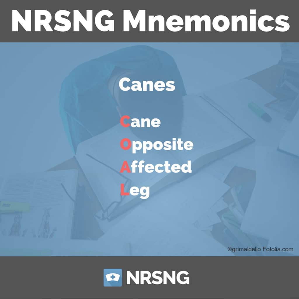 canes nursing mnemonics