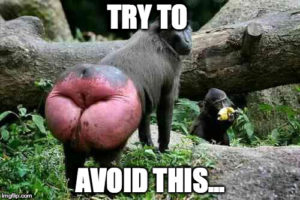 butt