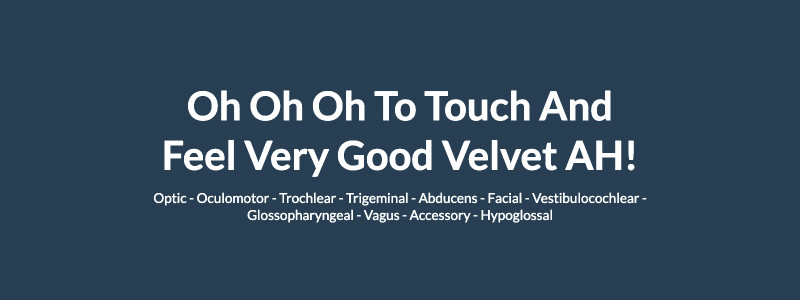mnemonic on cranial nerves