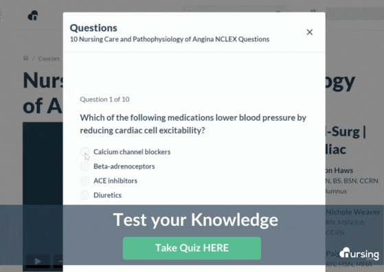 Take Quiz Gif-1