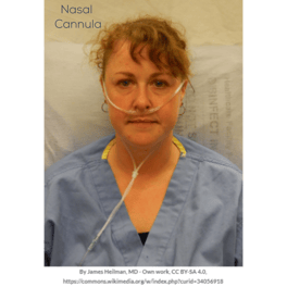 Nasal Cannula